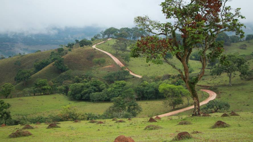 26. Percorrendo os caminhos da história 26. Percorrendo os caminhos da história