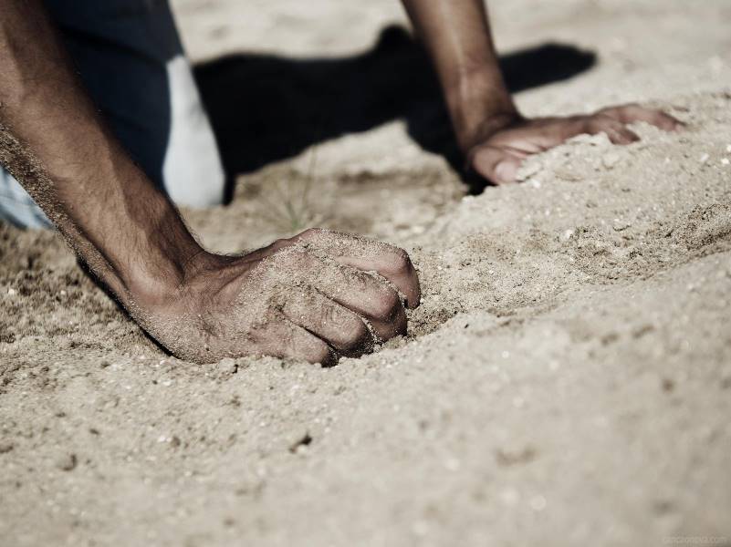 299. “Que ele te conceda o que teu coração deseja; dê sucesso a todo projeto teu” (Sl 20,5) 299. “Que ele te conceda o que teu coração deseja; dê sucesso a todo projeto teu” (Sl 20,5)