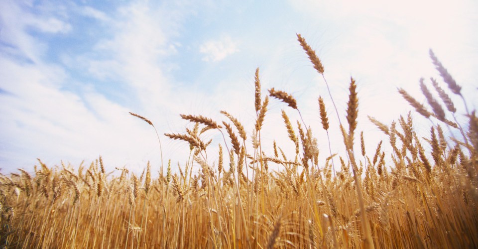 473. “João disse a Jesus: ‘Mestre, vimos um homem expulsar demônios em teu nome. Mas nós o proibimos, porque ele não nos segue’”. (Mc 9,38) 473. “João disse a Jesus: ‘Mestre, vimos um homem expulsar demônios em teu nome. Mas nós o proibimos, porque ele não nos segue’”. (Mc 9,38)