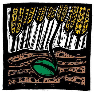 475. REFLEXÃO PARA O 5º DOMNINGO DA QUARESMA – Jo 12,20-33 (Ano B) 475. REFLEXÃO PARA O 5º DOMNINGO DA QUARESMA – Jo 12,20-33 (Ano B)