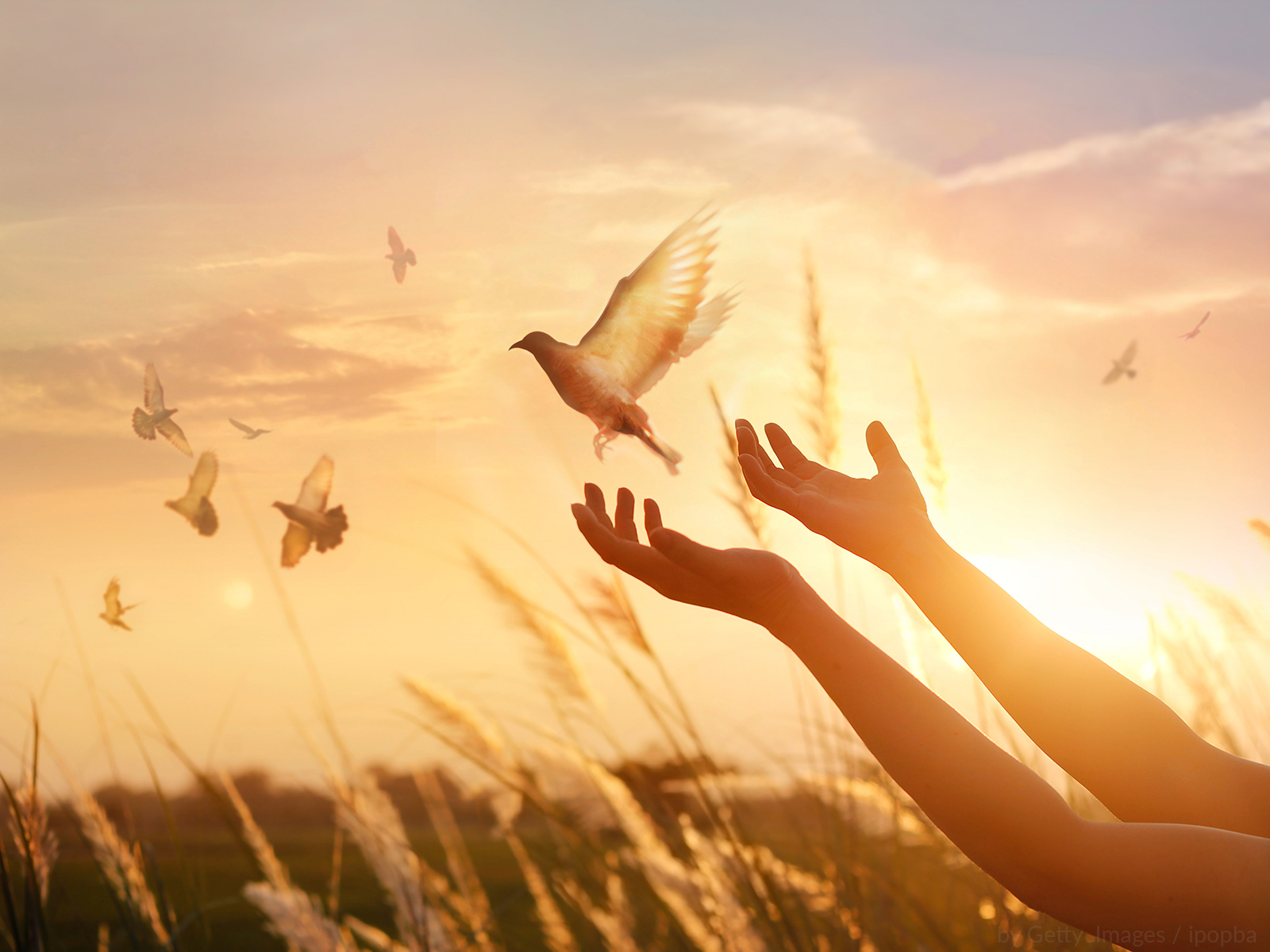 496. “Não temas, Maria, encontrastes graça diante de Deus”. (Lc 1,30) 496. “Não temas, Maria, encontrastes graça diante de Deus”. (Lc 1,30)