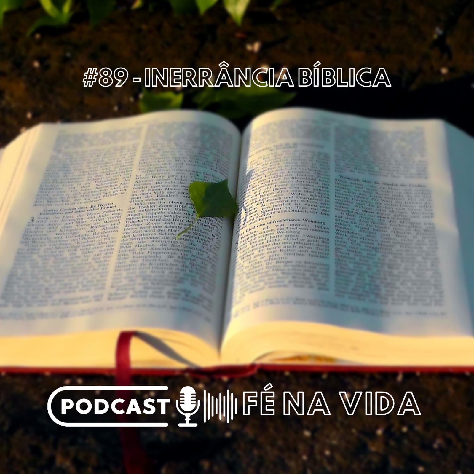 89. Inerrância Bíblica 89. Inerrância Bíblica