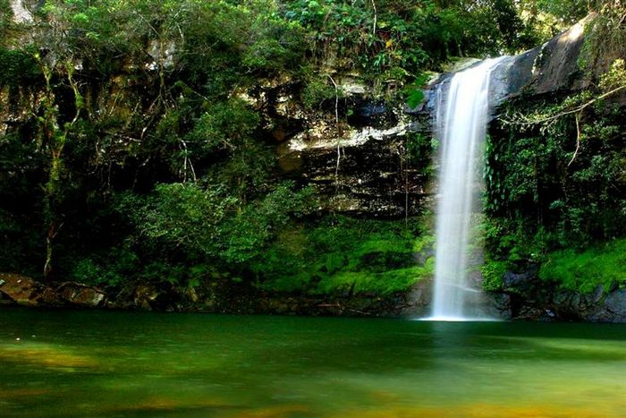 Salmo 61 - 8º Domingo do tempo Comum Ano A Salmo 61 - 8º Domingo do tempo Comum Ano A