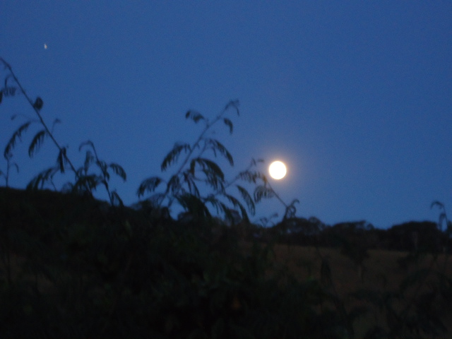 6. Senhor, minha luz 6. Senhor, minha luz