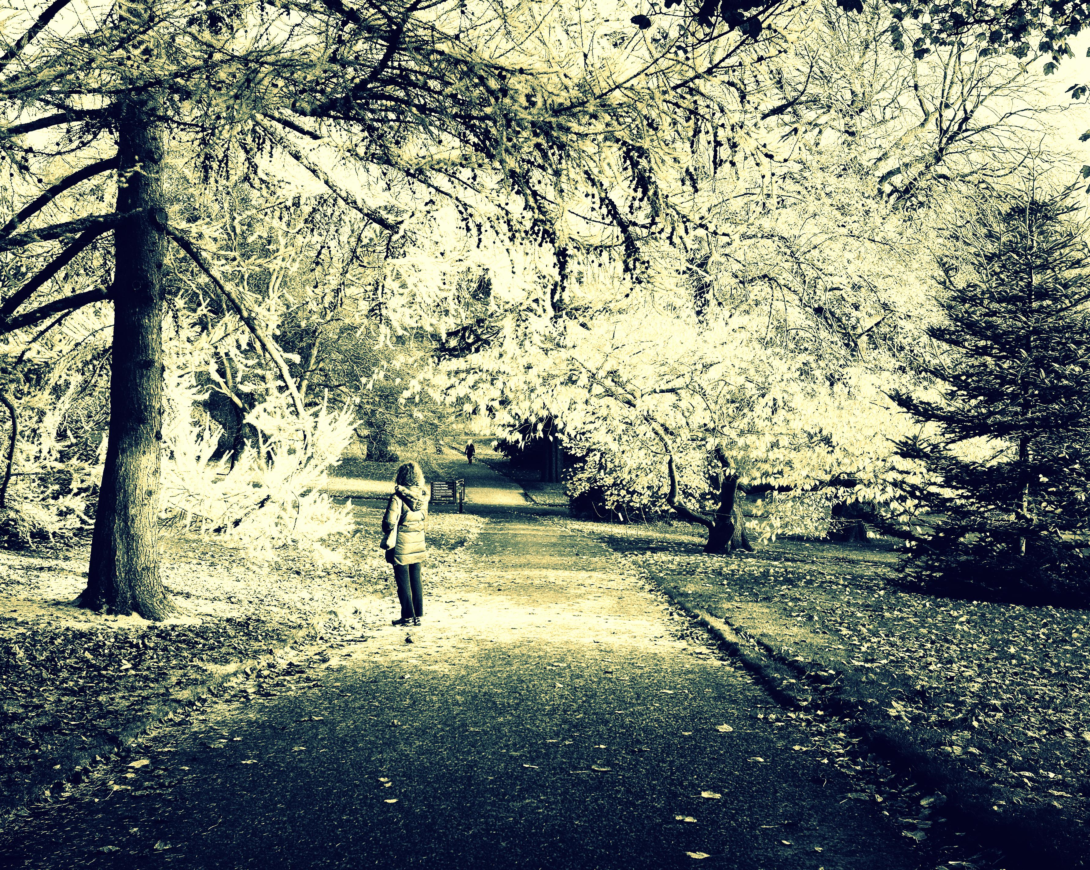 46. Shabbat 46. Shabbat