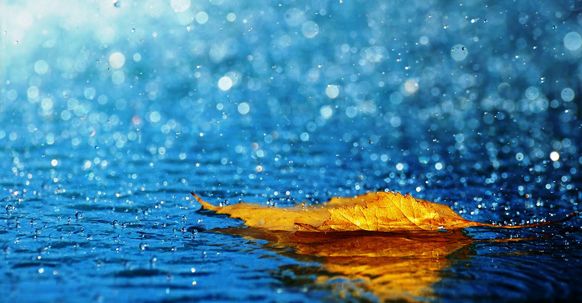 40. Bendito seja Deus 40. Bendito seja Deus