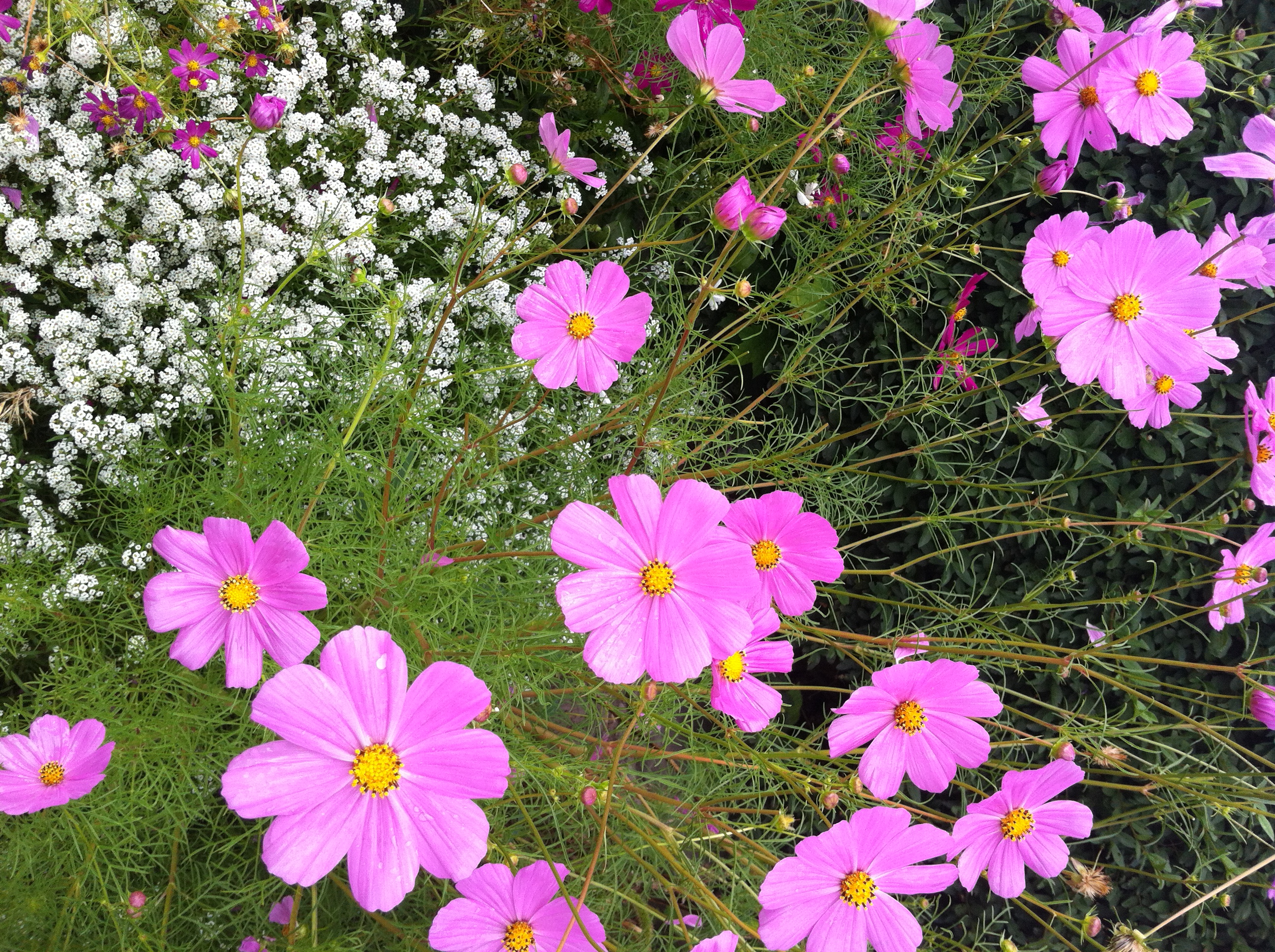 48. Gratidão 48. Gratidão