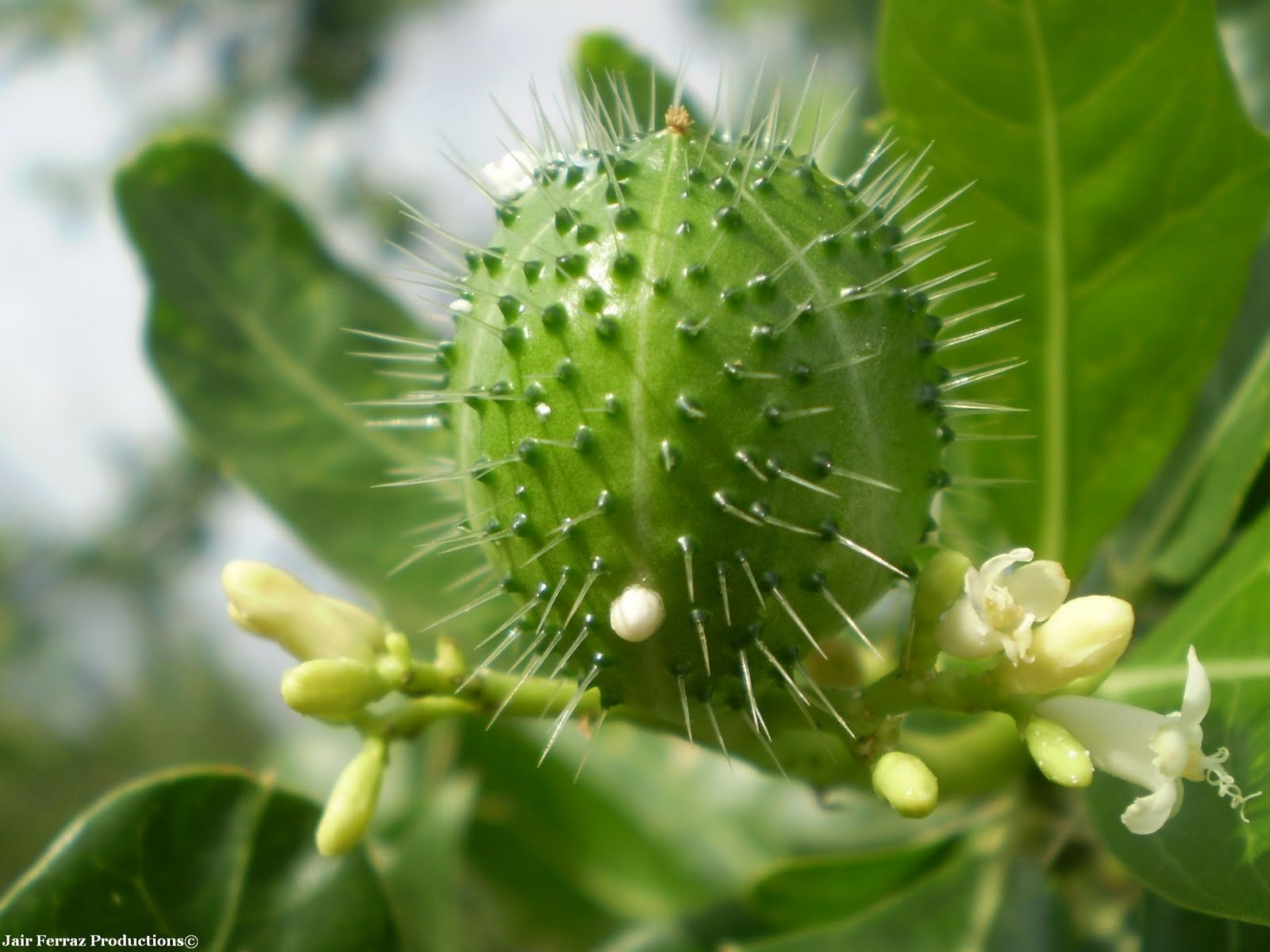 51. Dividindo as dores com o Senhor 51. Dividindo as dores com o Senhor