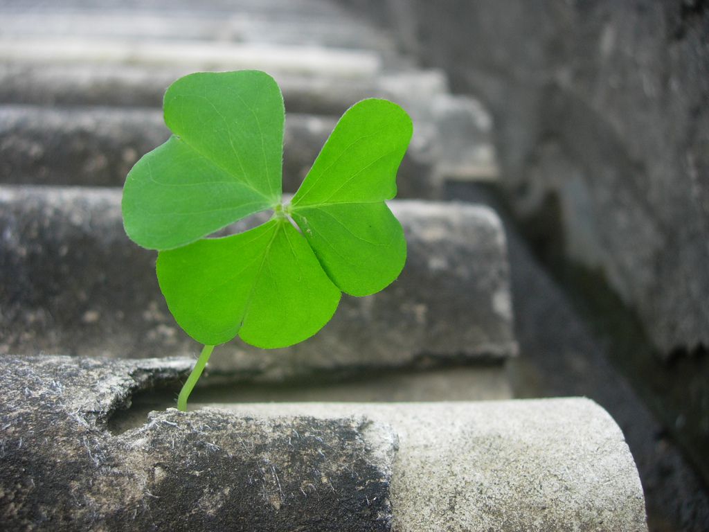 59. Dá-me esperança 59. Dá-me esperança