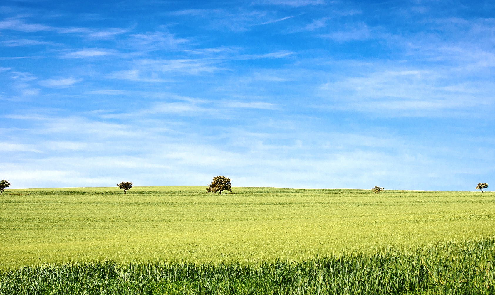 62. Quem disse que não pode doer? 62. Quem disse que não pode doer?