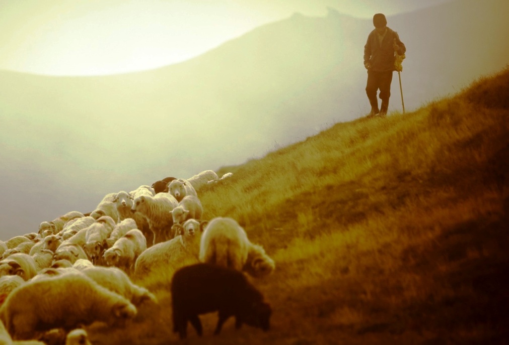 Salmo 22 - 16º Domingo do Tempo Comum Ano B Salmo 22 - 16º Domingo do Tempo Comum Ano B