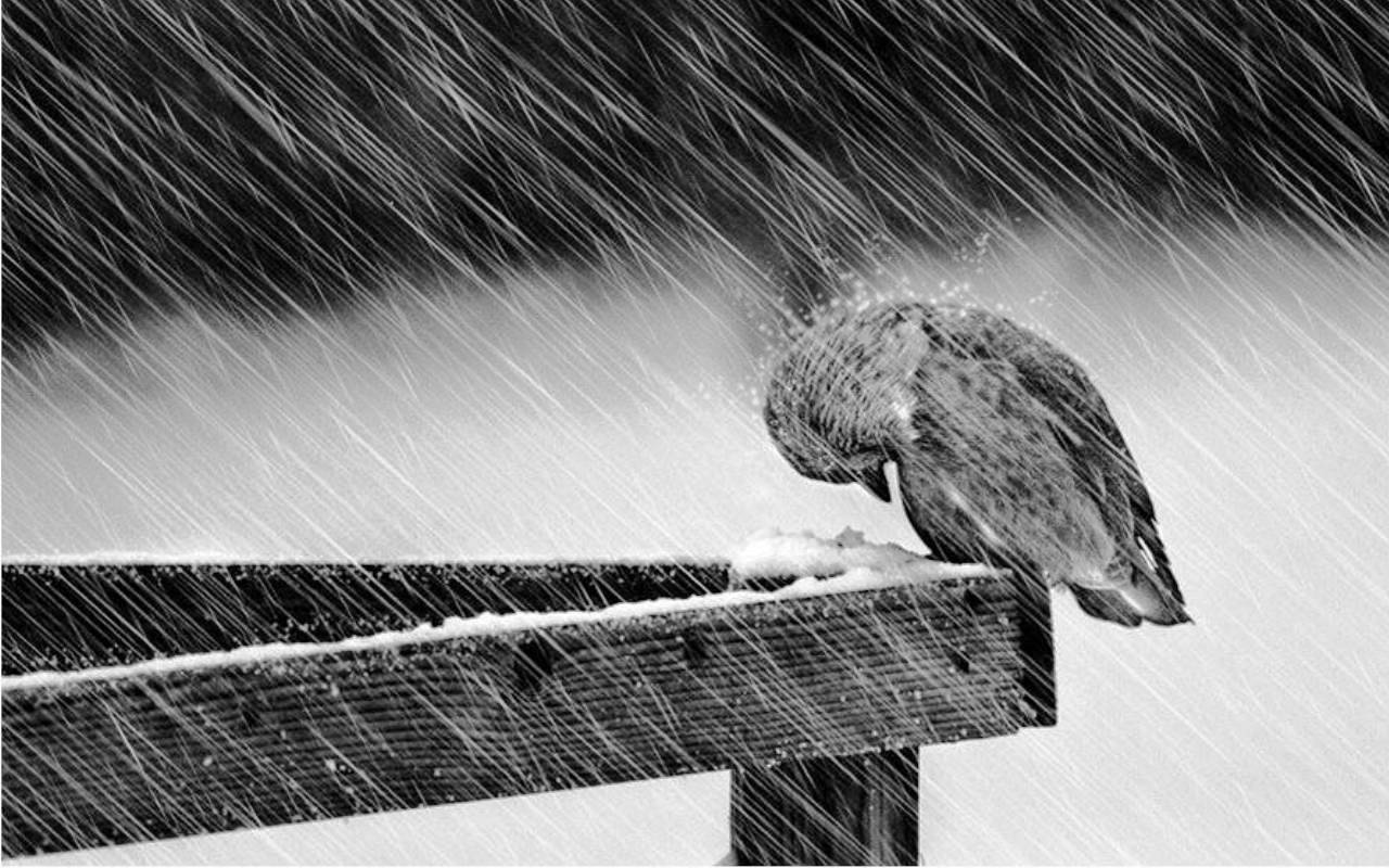 79. Ainda que 79. Ainda que