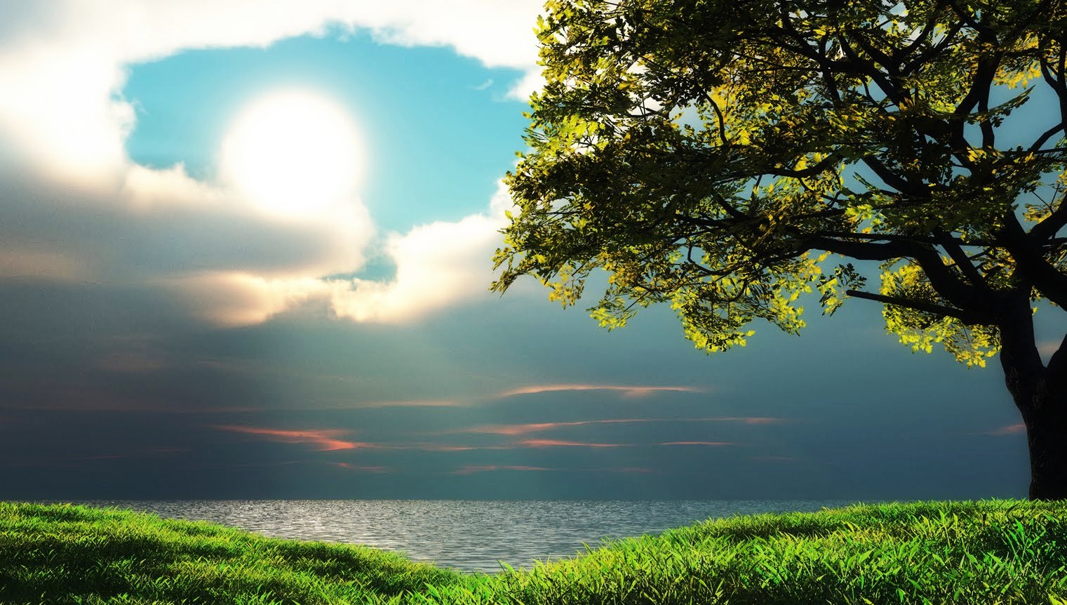 107. “Ensina-me a cumprir tua vontade, pois tu és o meu Deus” (Sl 143,10) 107. “Ensina-me a cumprir tua vontade, pois tu és o meu Deus” (Sl 143,10)