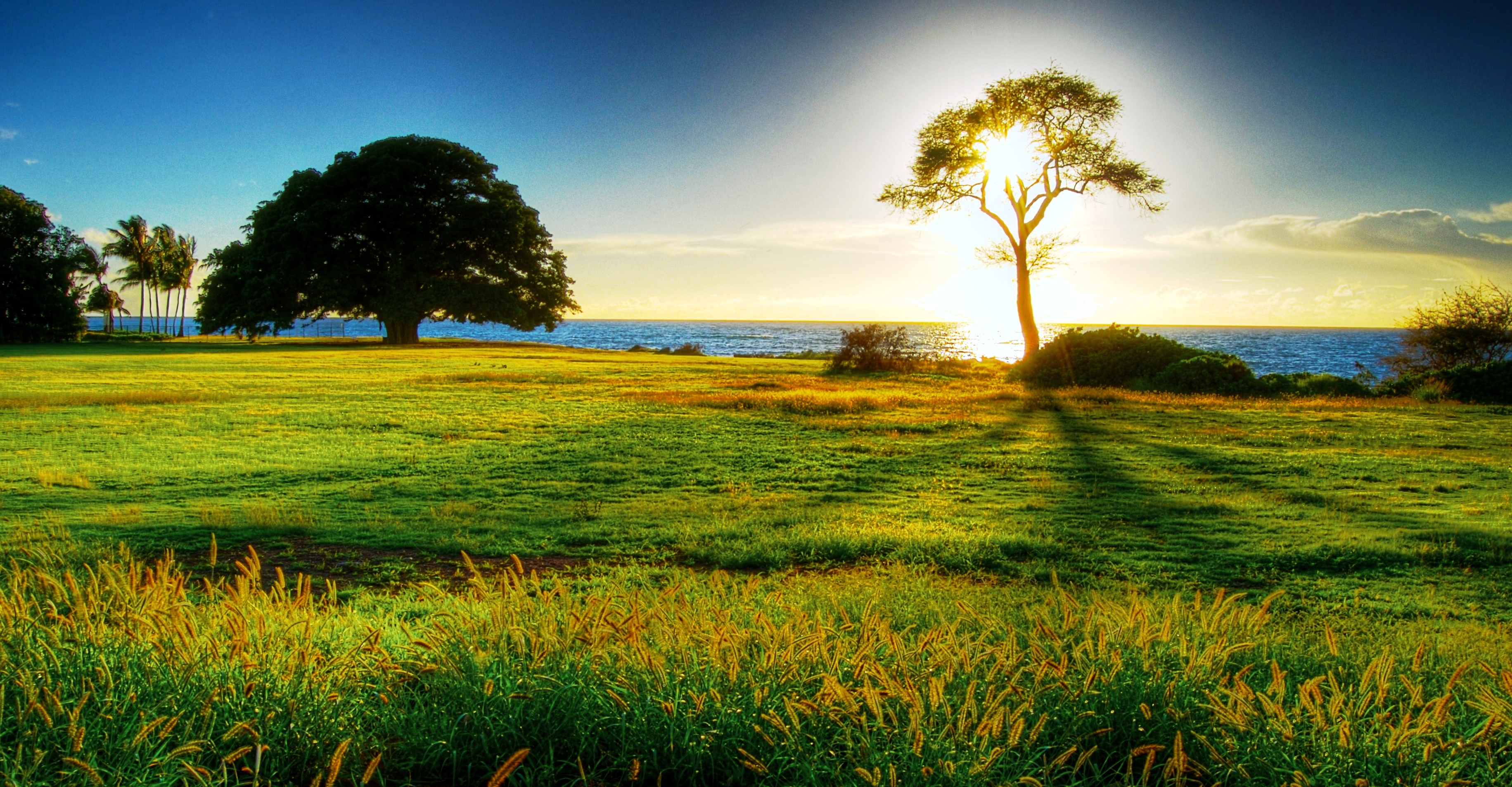 108. Fidelidade da tua Palavra 108. Fidelidade da tua Palavra