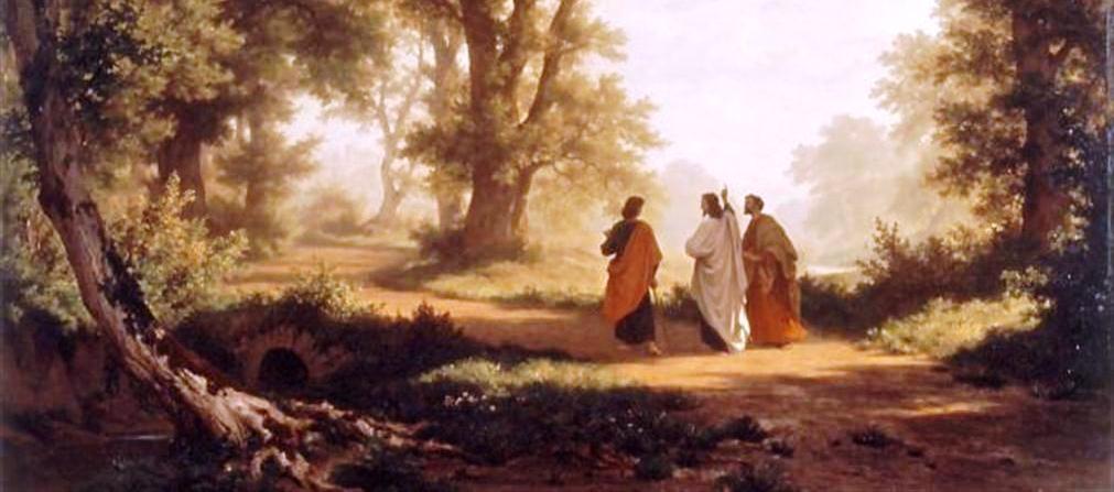 115. Peregrino Companheiro 115. Peregrino Companheiro