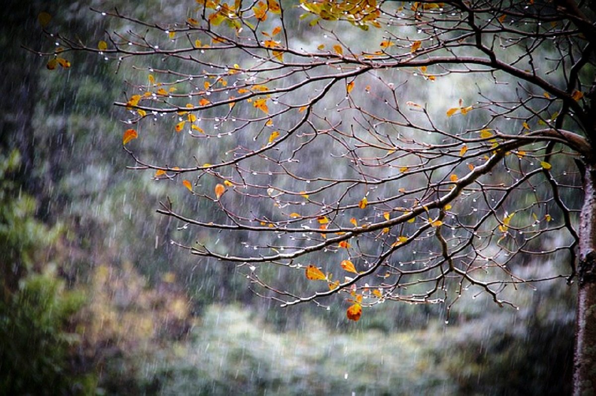 132. “A sabedoria está clamando lá fora; levanta sua voz nas praças” (Pr 1,20) 132. “A sabedoria está clamando lá fora; levanta sua voz nas praças” (Pr 1,20)