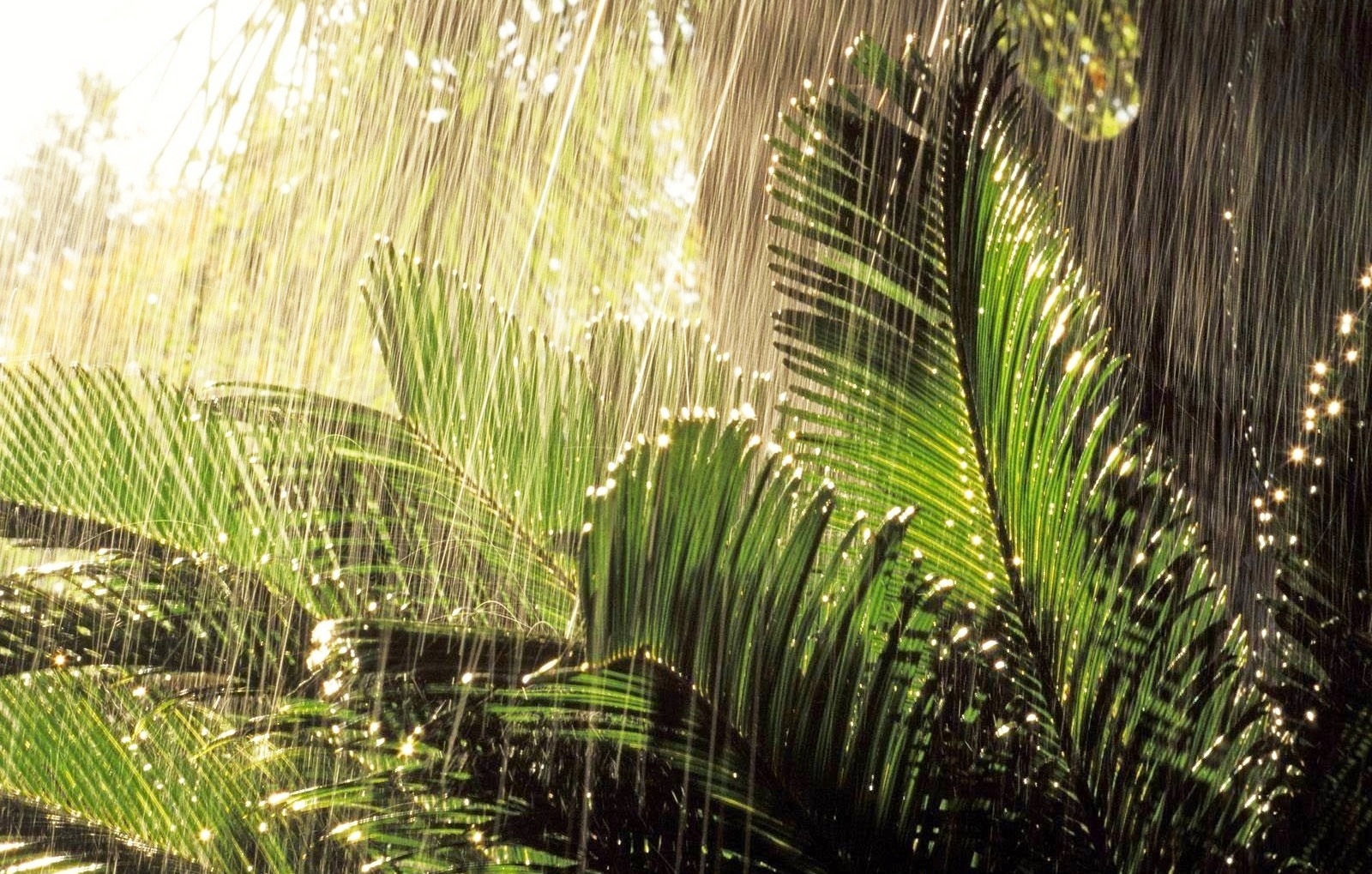 149. Terra boa 149. Terra boa