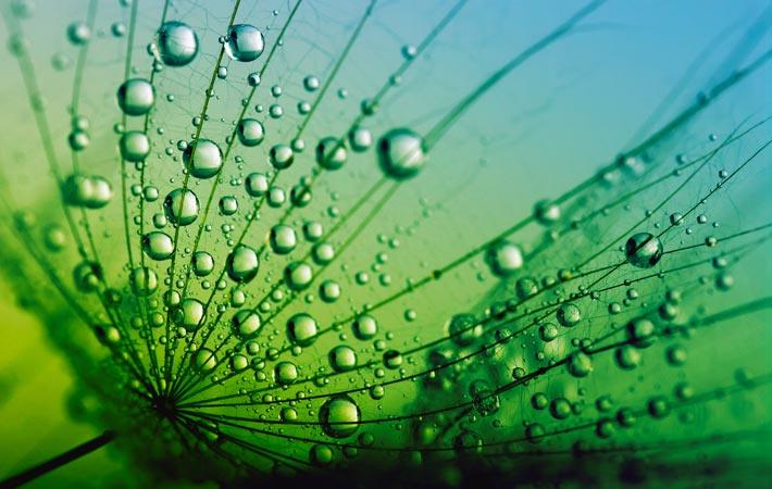 34. Ecos de esperança... 34. Ecos de esperança...