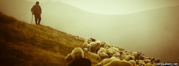 211. “Vou procurar a ovelha perdida, reconduzir a extraviada, enfaixar a da perna quebrada, fortalecer a doente e vigiar a ovelha gorda e forte” (Ez 34,16).
