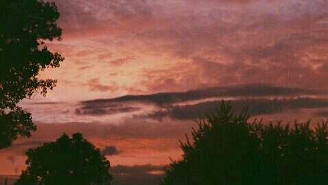 57. Redivivo 57. Redivivo