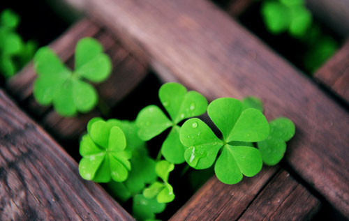 214. Deus, nossa esperança I 214. Deus, nossa esperança I