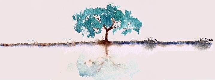 99. Estreitezas 99. Estreitezas