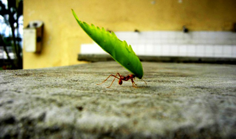 239. Coragem de Deus 239. Coragem de Deus