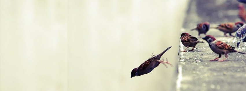 108. Coragem 108. Coragem