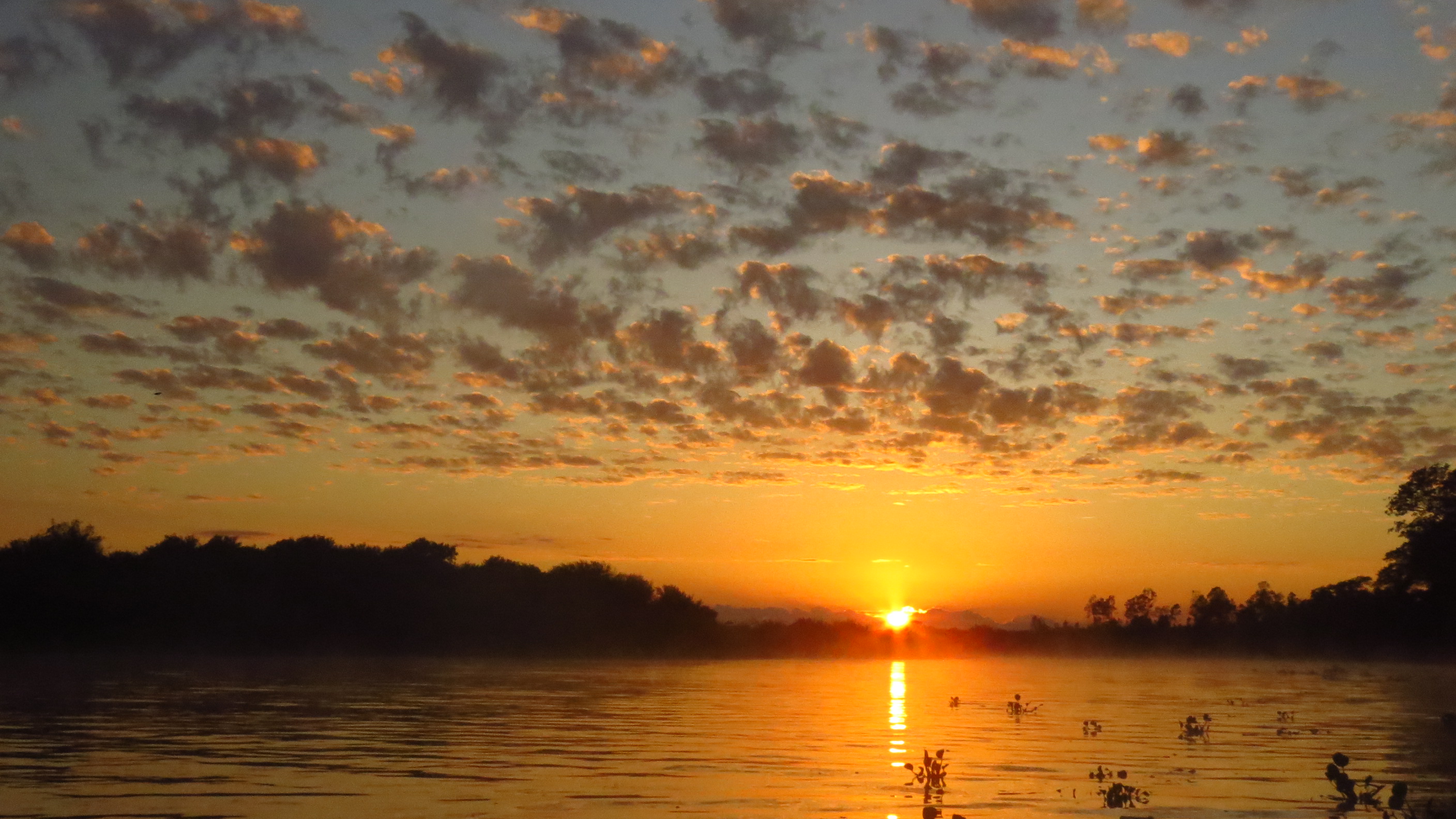 100. Reflexão para o 4º domingo da Quaresma (Lc 15, 1-3.11-32). 100. Reflexão para o 4º domingo da Quaresma (Lc 15, 1-3.11-32).