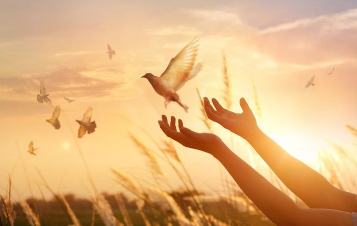 Salmo 33 - 3ª feira da 1ª Semana Quaresma Salmo 33 - 3ª feira da 1ª Semana Quaresma